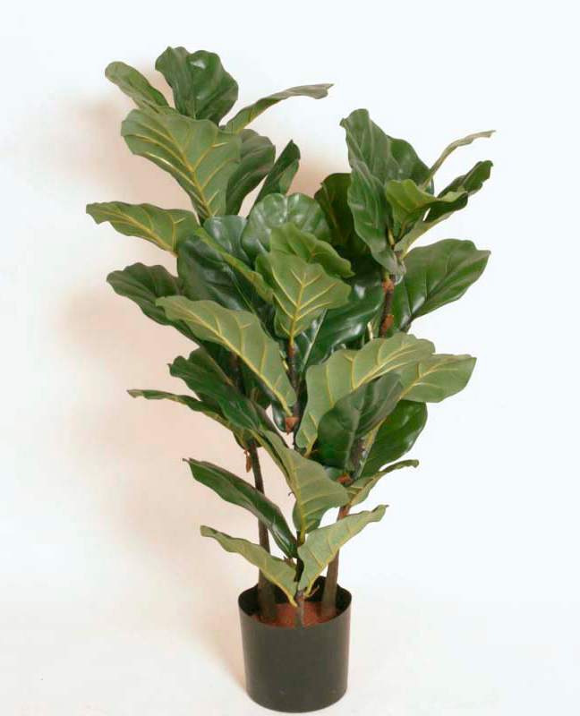 1233-100 Fiddle Leaves 100cm, 1233-140 Fiddle Leave 140cm